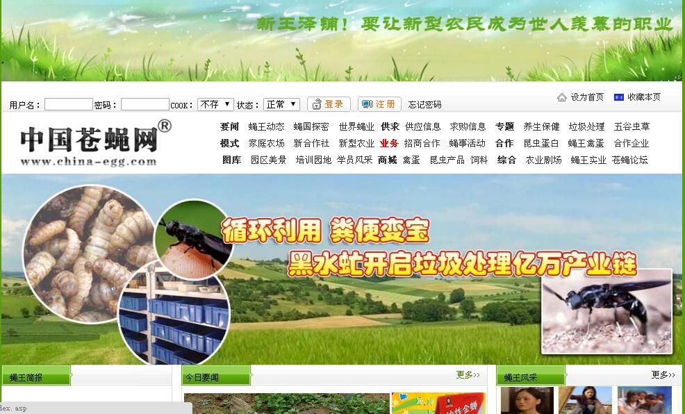 中国苍蝇网黑水虻网农业网站案例